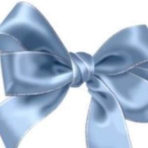 Meet your Posher, Reagan